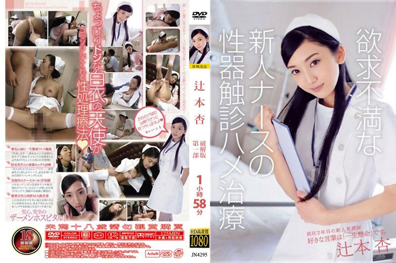 马赛克破坏版 辻本杏 JN4295